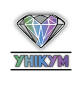 Приватний ліцей УНІКУМ м. Ужгород